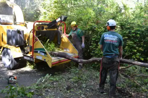 tree services Kendallville